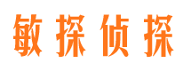 武川敏探私家侦探公司